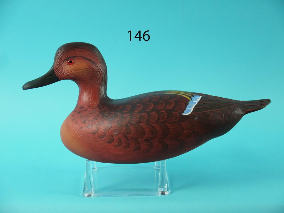 CINNAMON TEAL, L. REINERI (1 of 4)