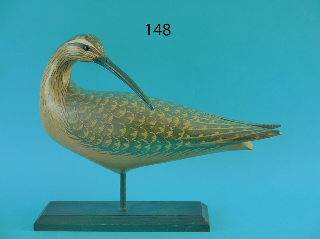 PREENING CURLEW, L. REINERI (1 of 2)