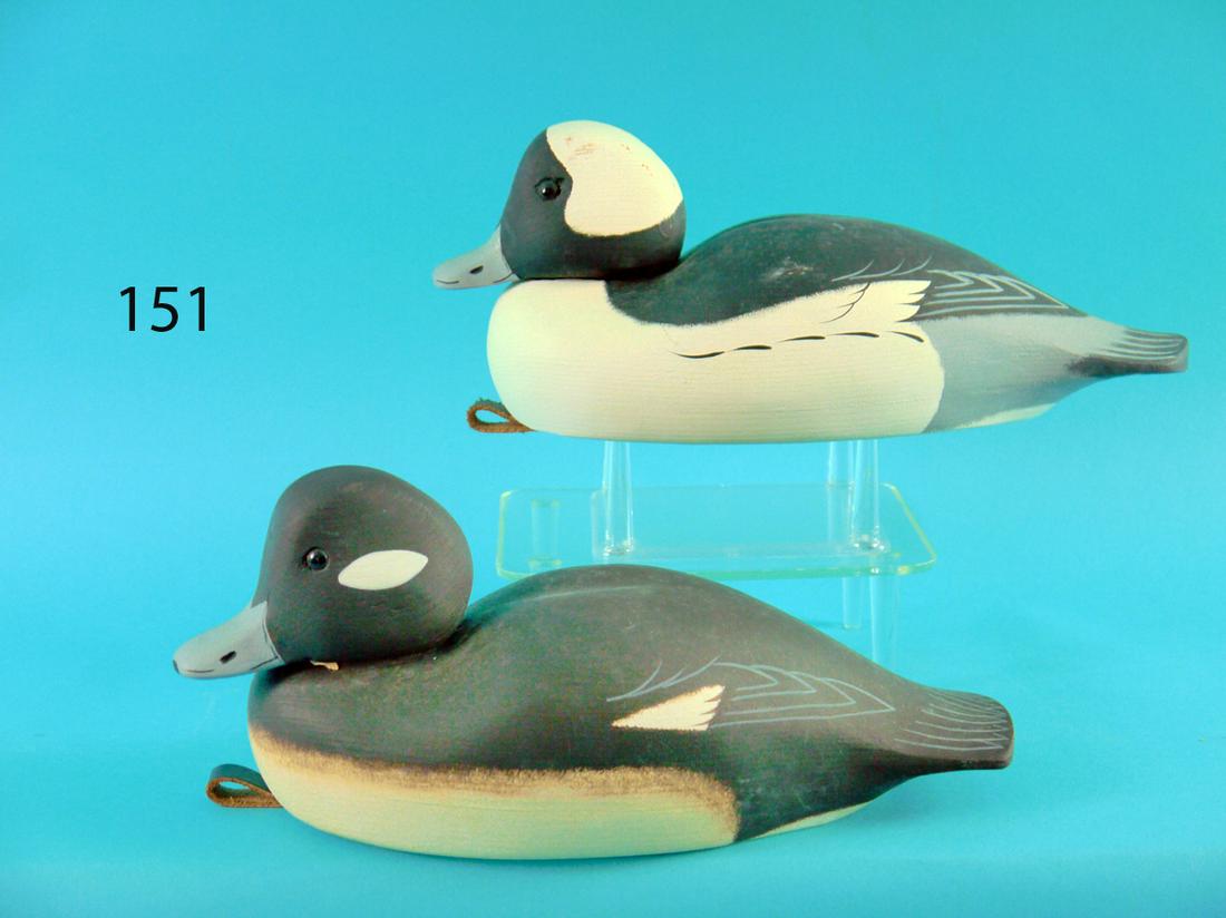 BUFFLEHEAD PAIR, A. BIRDSALL (1 of 4)