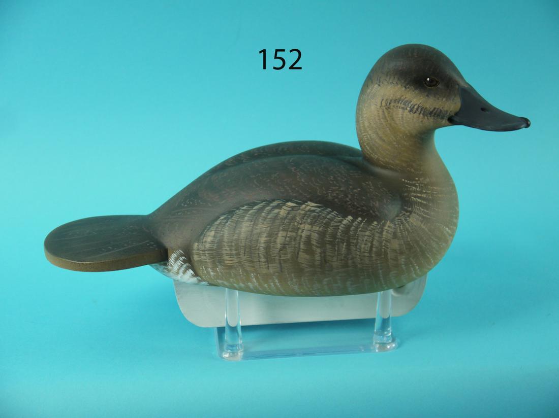 RUDDY DUCK, C.R. MARTER/H. MILLER (1 of 4)