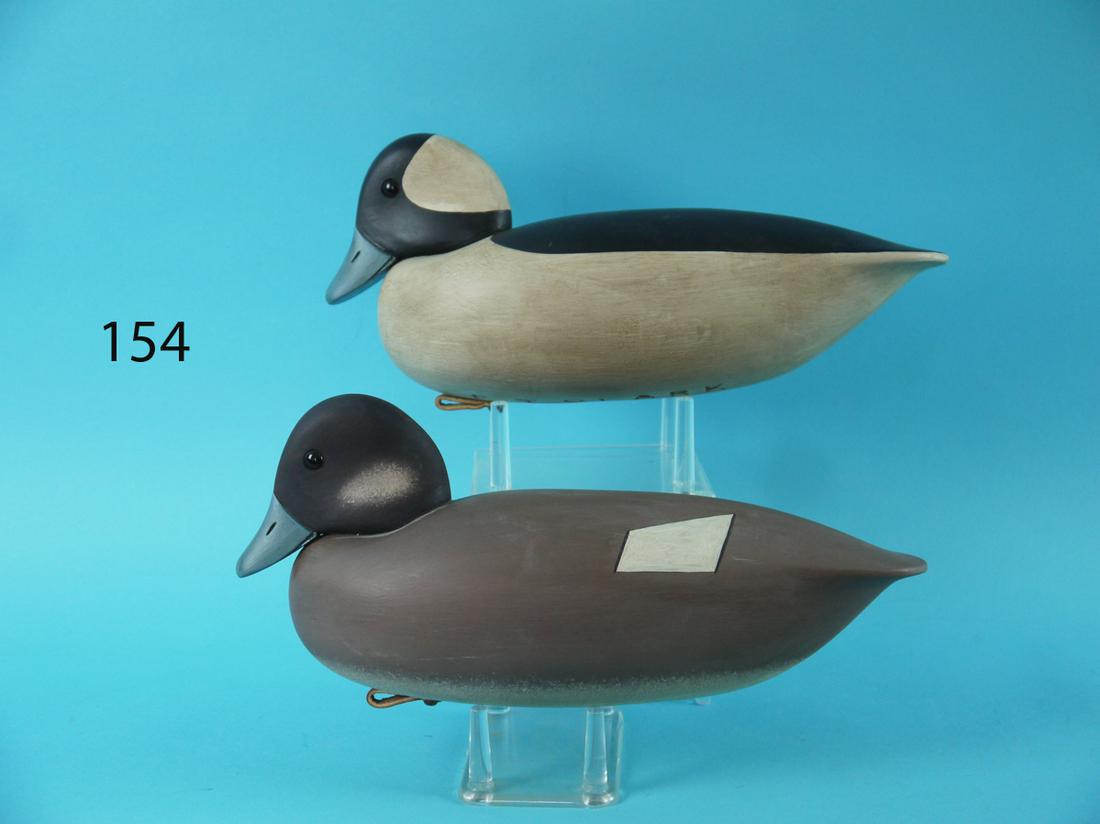 BUFFLEHEAD PAIR, E. CLARK (1 of 4)