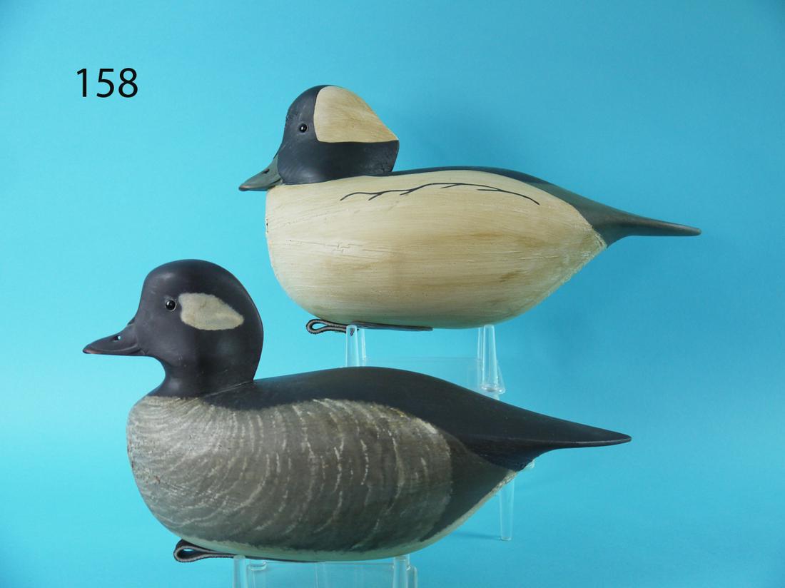 BUFFLEHEAD PAIR, J.P. HAND (1 of 4)