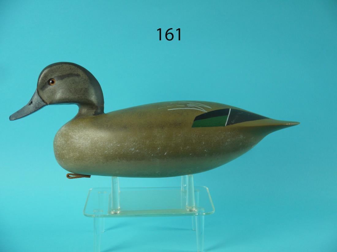 GREEN WING TEAL, B. RUTTER, SR. (1 of 4)