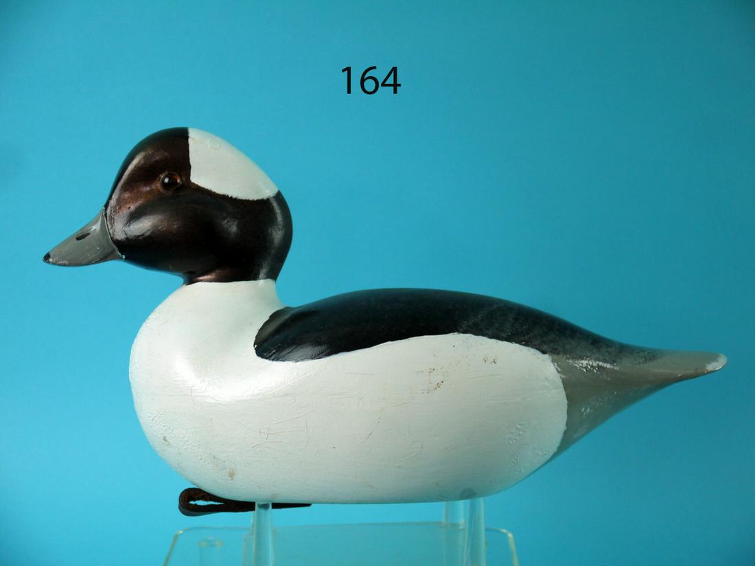 BUFFLEHEAD DRAKE, R. LYNN (1 of 4)