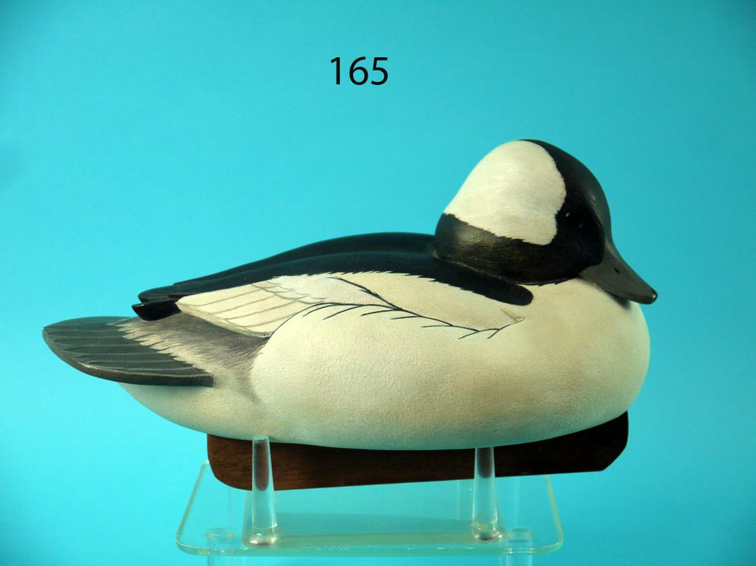 BUFFLEHEAD DRAKE, S. SCHNEIDER (1 of 4)