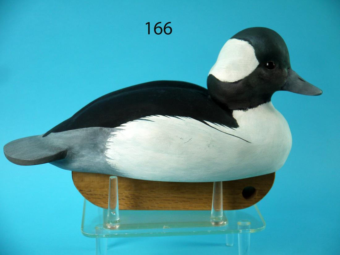BUFFLEHEAD DRAKE, J. KEZEL (1 of 4)