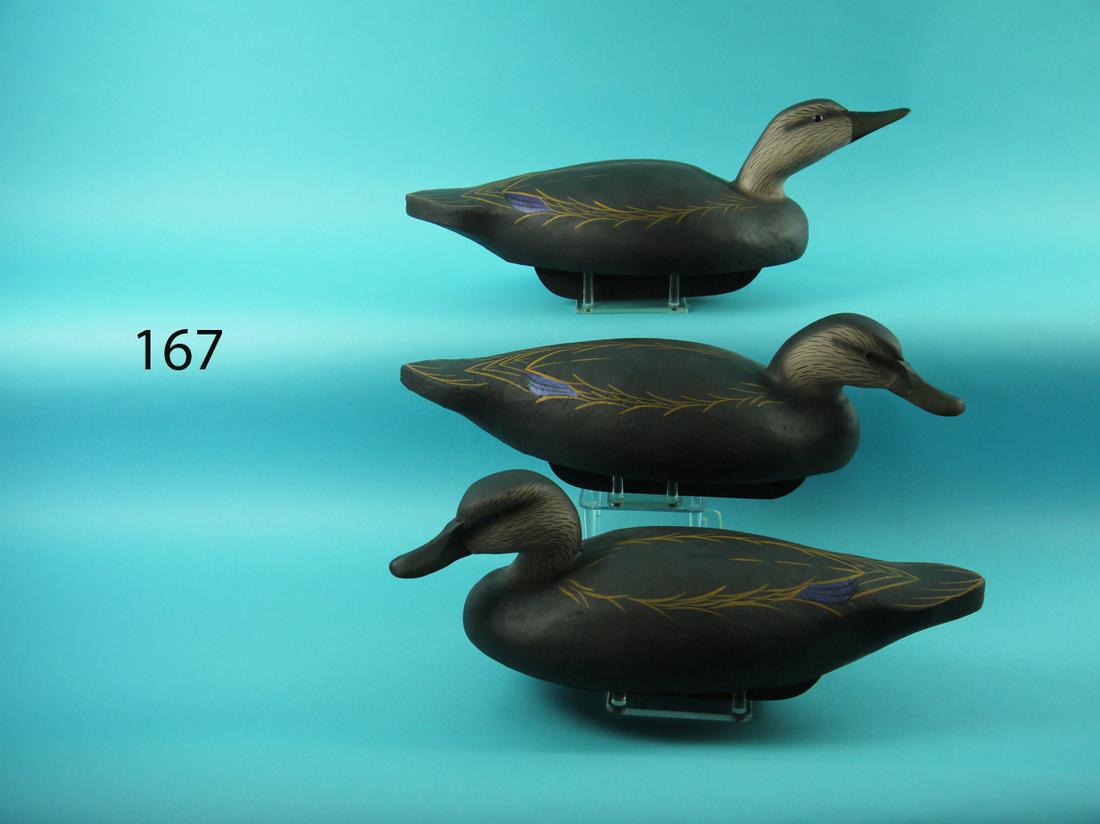 THREE CORK BLACK DUCKS, LONG ISLAND (1 of 2)