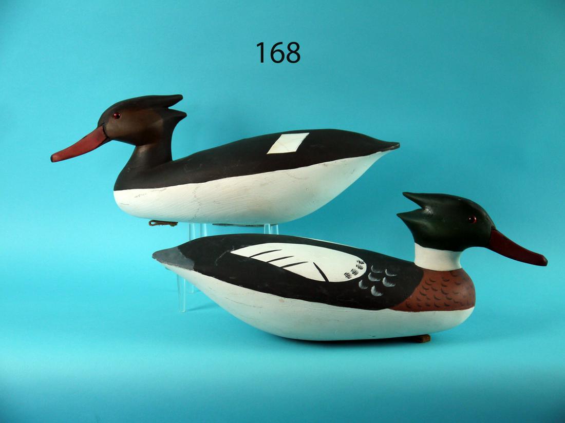 RED BREAST MERGANSER PAIR, G. BELL (1 of 4)