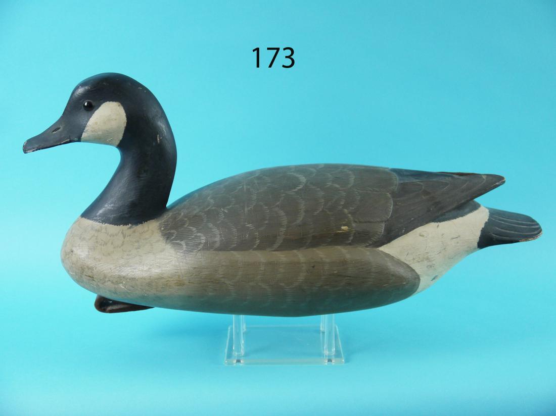 CANADA GOOSE, R. SABATINI (1 of 4)