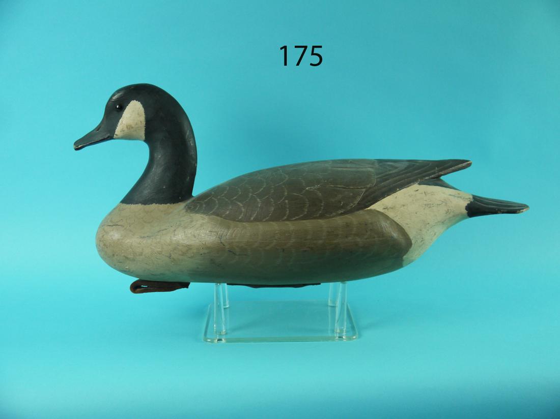 CANADA GOOSE, R. SABATINI (1 of 4)