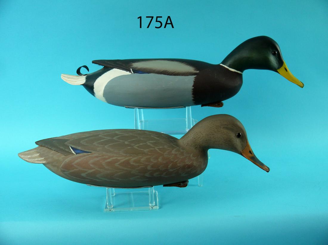 SWIMMING MALLARDS, R. SABATINI (1 of 4)