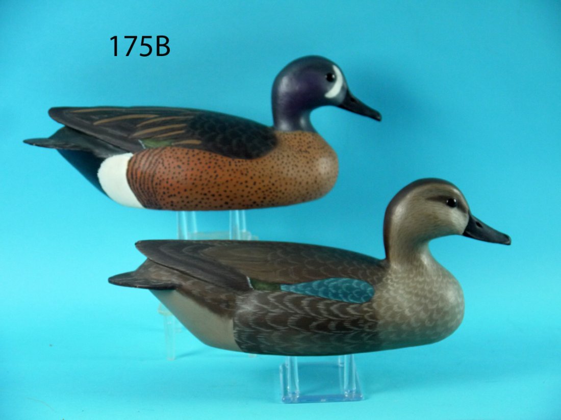BLUE WING TEAL PAIR, R. SABATINI (1 of 4)