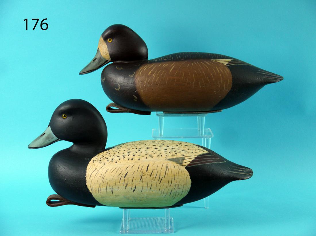 BROADBILL PAIR E. CORRADETTI (1 of 4)