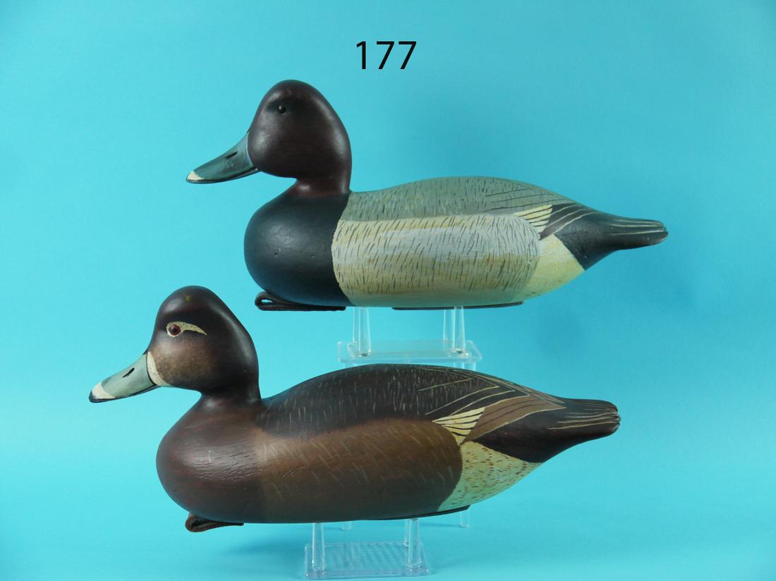 REDHEAD PAIR, E. CORRADETTI (1 of 4)