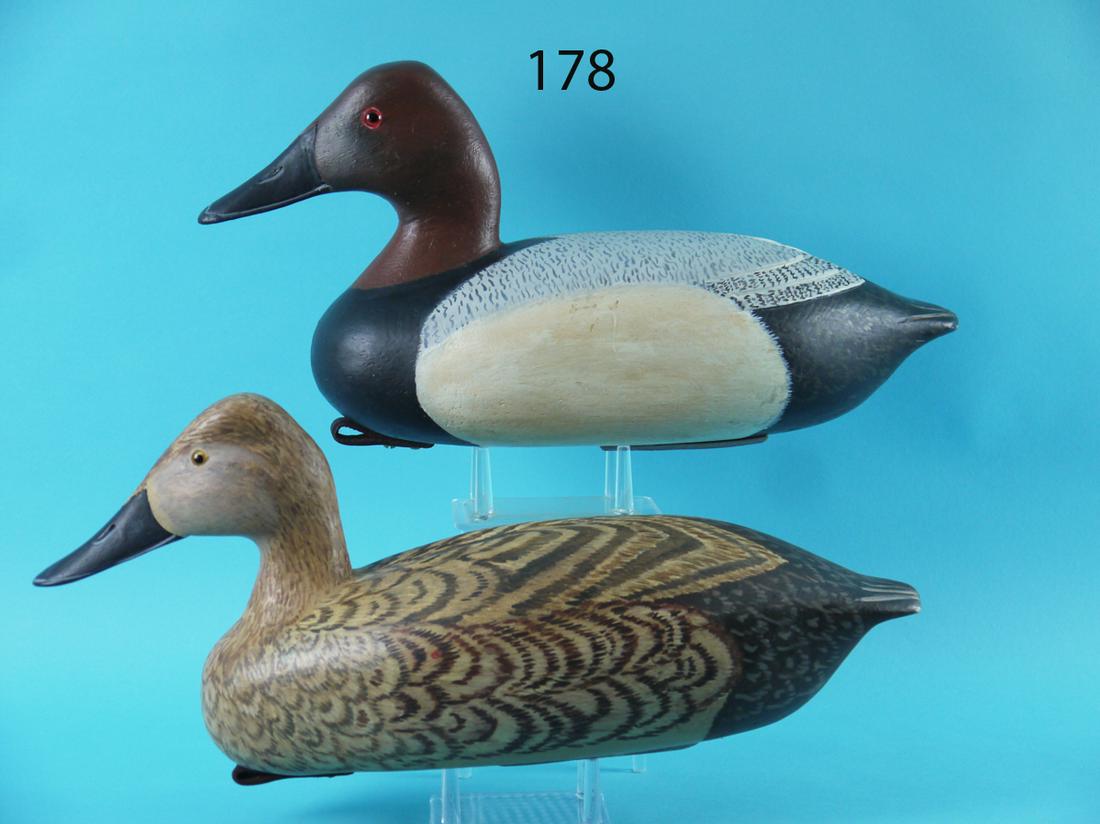 CANVASBACK PAIR, E. CORRADETTI (1 of 4)