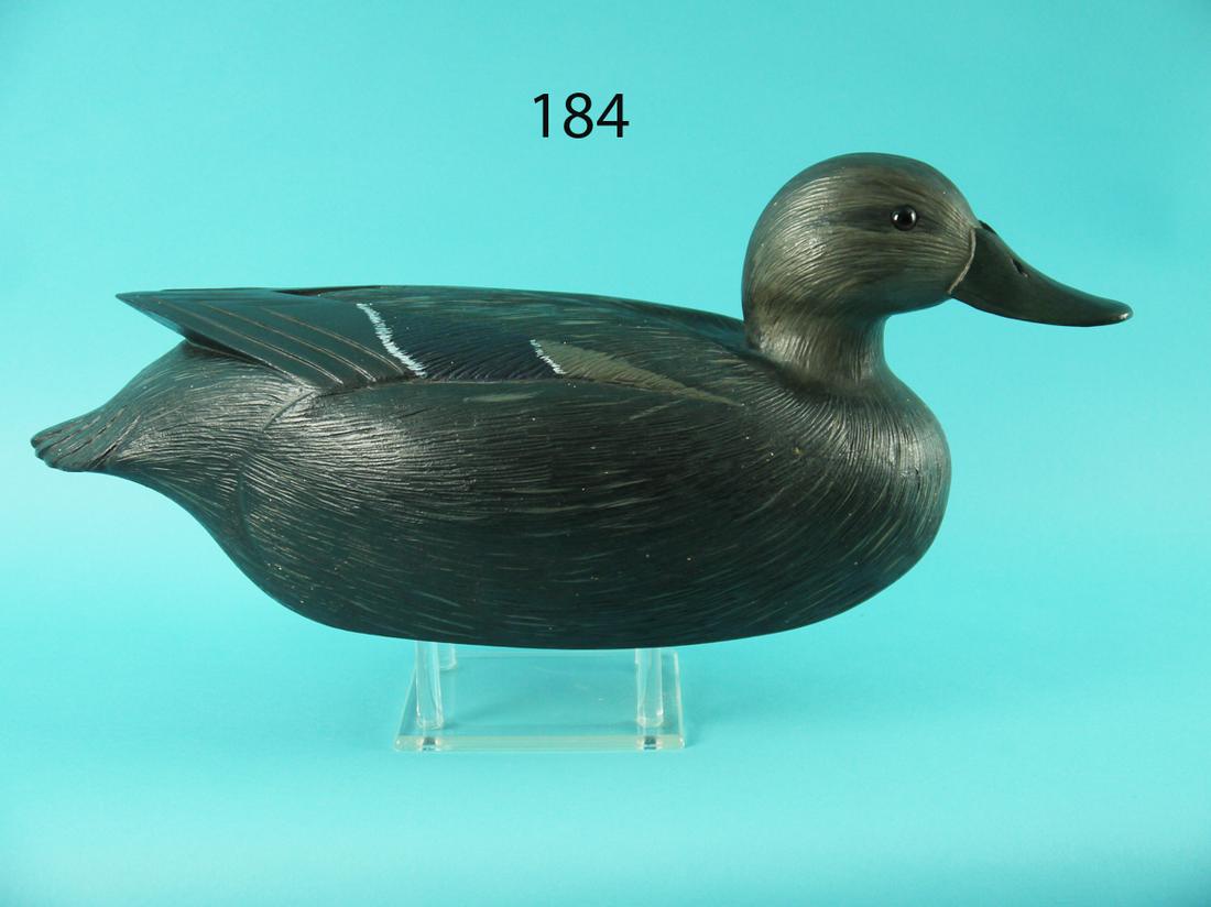 BLACK DUCK, F. REITMEYER (1 of 4)