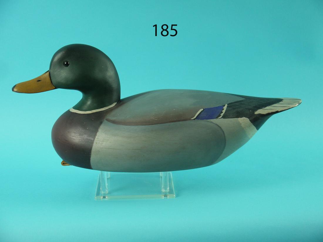 MALLARD DRAKE, B. BIDDLE (1 of 4)