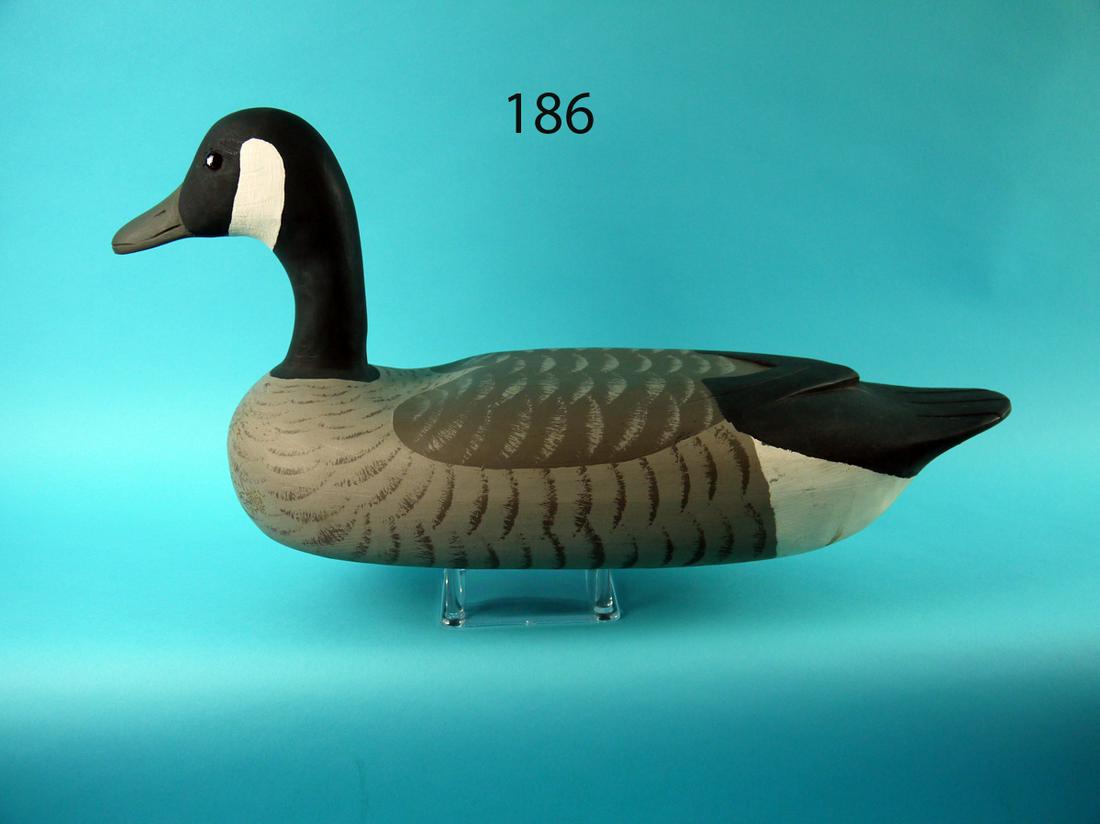 CANADA GOOSE, J. BAKER (1 of 4)