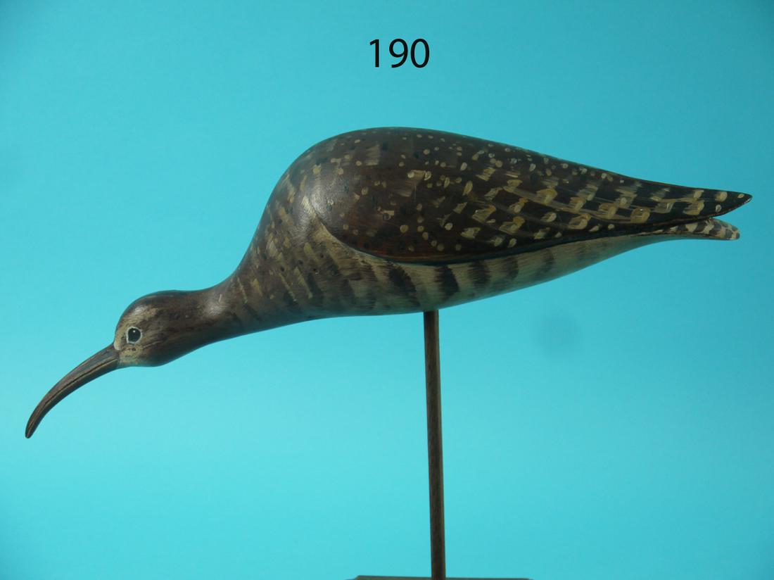 ESKIMO CURLEW, D. RHODES (1 of 4)