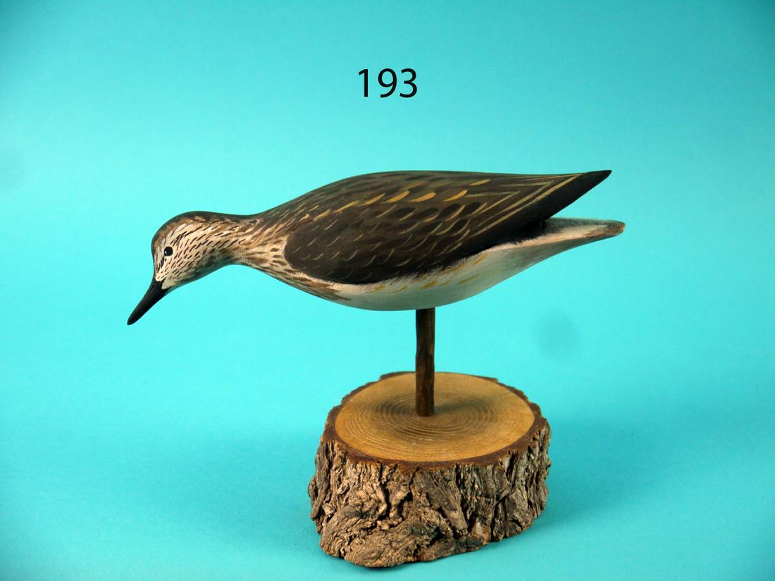 SANDERLING, A. HILLMAN: FINE SANDERLING by Anthony Hillman, Cape May Courthouse, NJ. Excellent original paint and condition. Carved in a feeding position with split tail carving. Detail painted feather work and relief carved