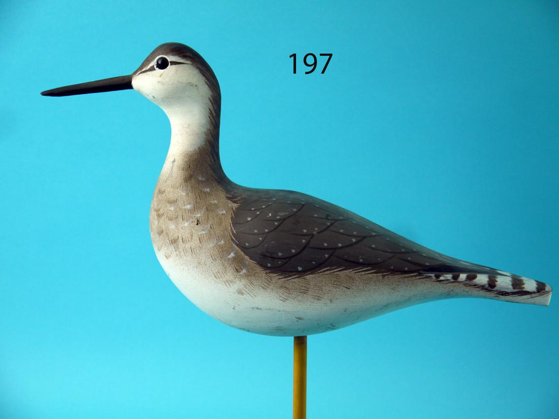 GREATER YELLOWLEG, BIRD SHOAL (1 of 4)