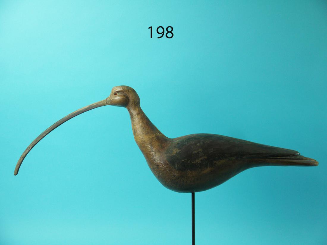 LONG-BILLED CURLEW, NEW JERSEY (1 of 4)