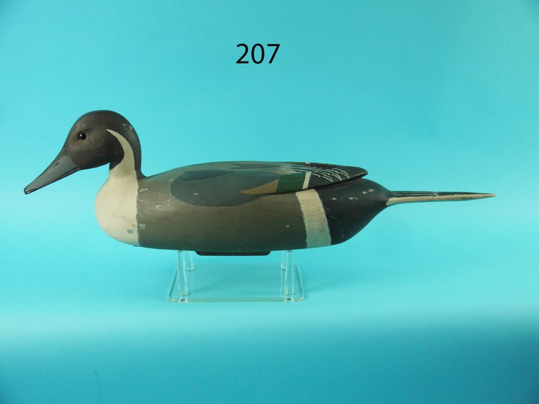 PINTAIL DRAKE, J. BAKER (1 of 4)