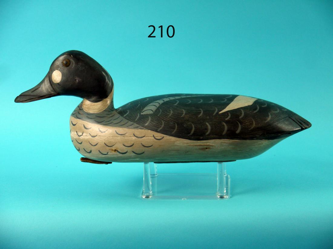 GOLDENEYE DRAKE, DELAWARE RIVER (1 of 4)