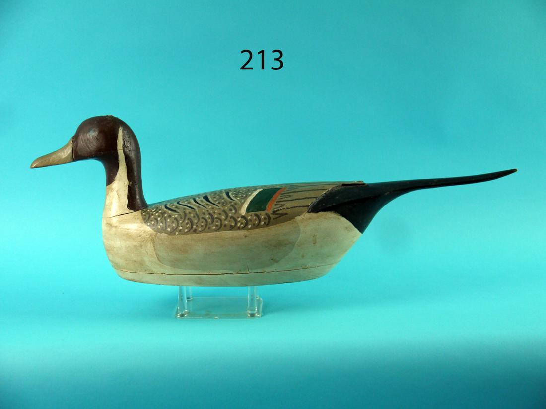 PINTAIL DRAKE, J. PARKER (1 of 4)