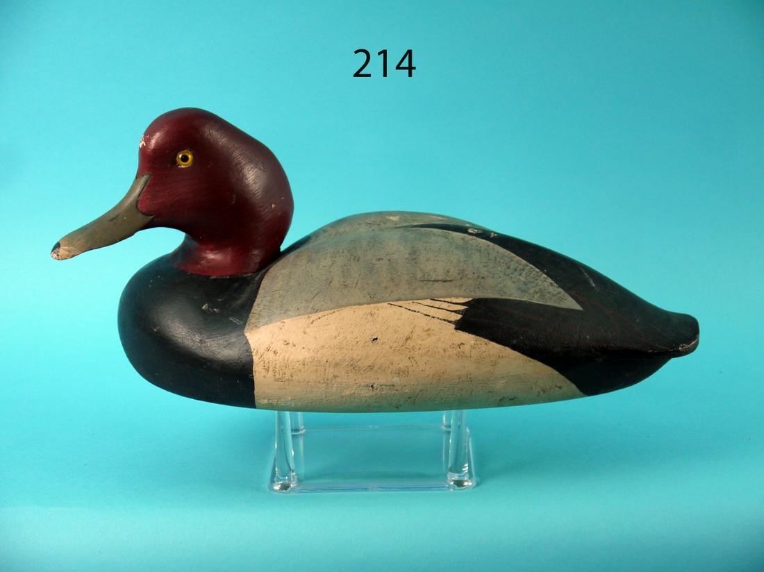 RED HEAD DRAKE, C. SPRAGUE (1 of 4)