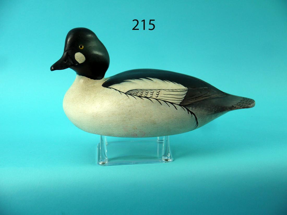 GOLDENEYE DRAKE, J. J. WEST (1 of 4)