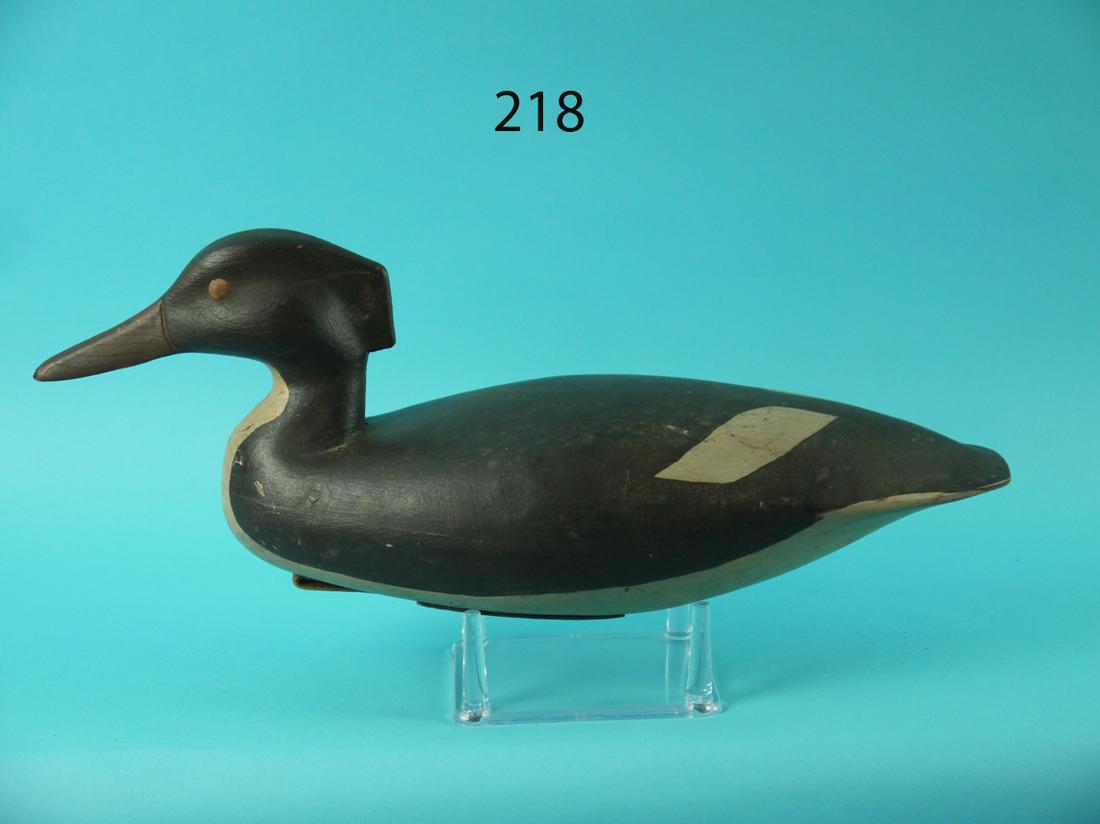 AMERICAN MERGANSER HEN, B. SALMON (1 of 4)