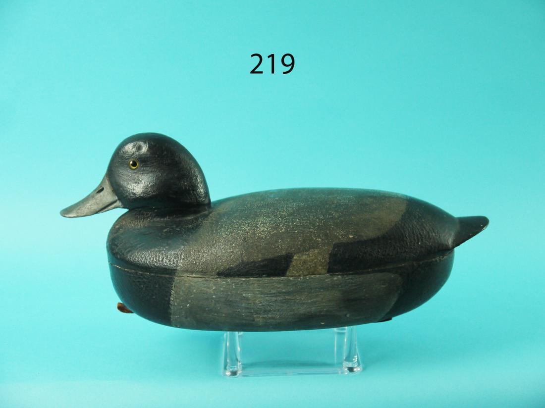 BROADBILL DRAKE, C. BURKLEY (1 of 4)