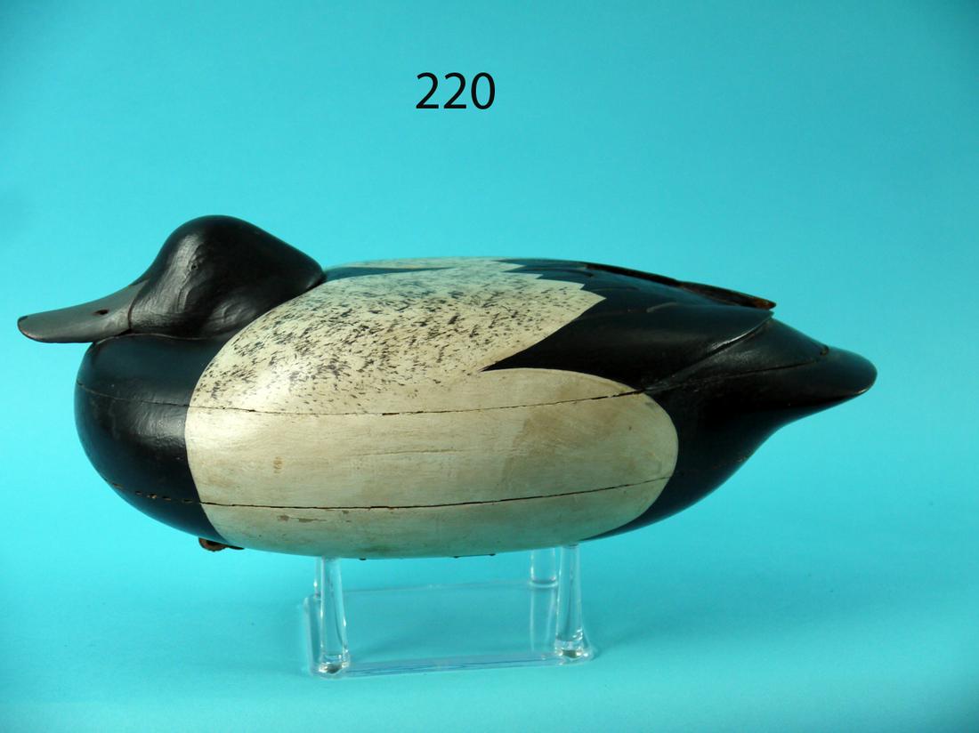 BROADBILL DRAKE, H. BACON, JR. (1 of 4)