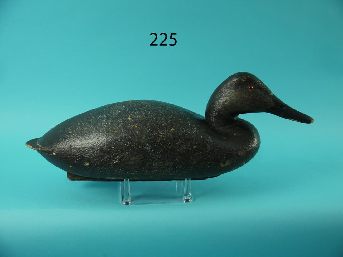 CANVASBACK HEN, J. MCLOUGHLIN (1 of 4)