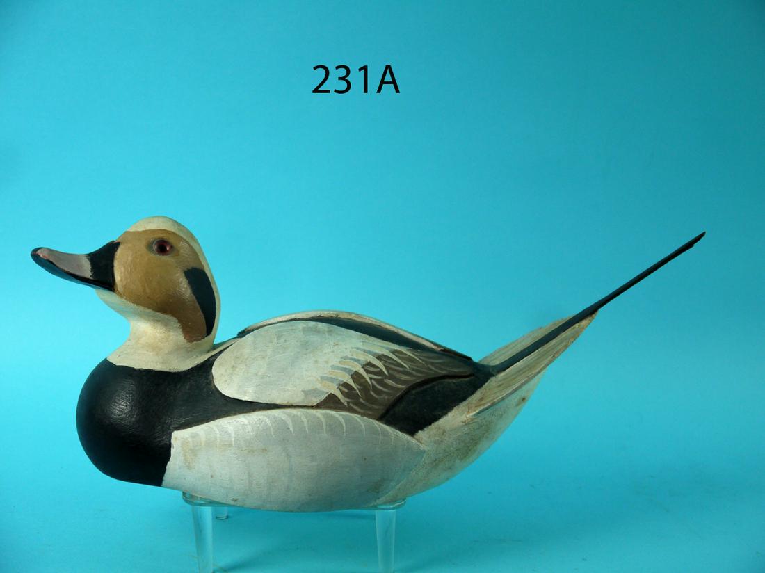 OLD SQUAW DRAKE, C. SPRAGUE: EXTREMELY RARE OLD SQUAW DRAKE by Chris Sprague, Beach Haven, NJ. Excellent original paint and condition. Deep relief carved wings and very broad fluted tail. Painted feather work on wings, sides and 