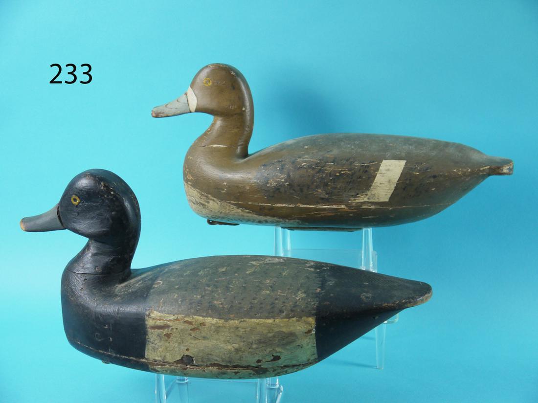 BLUEBILL PAIR, L. BARKELOW (1 of 4)