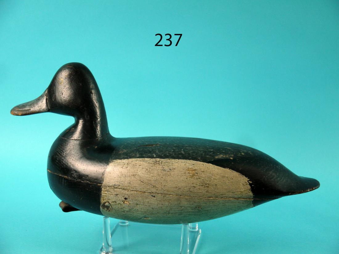 BROADBILL DRAKE, H.V. SHOURDS (1 of 4)