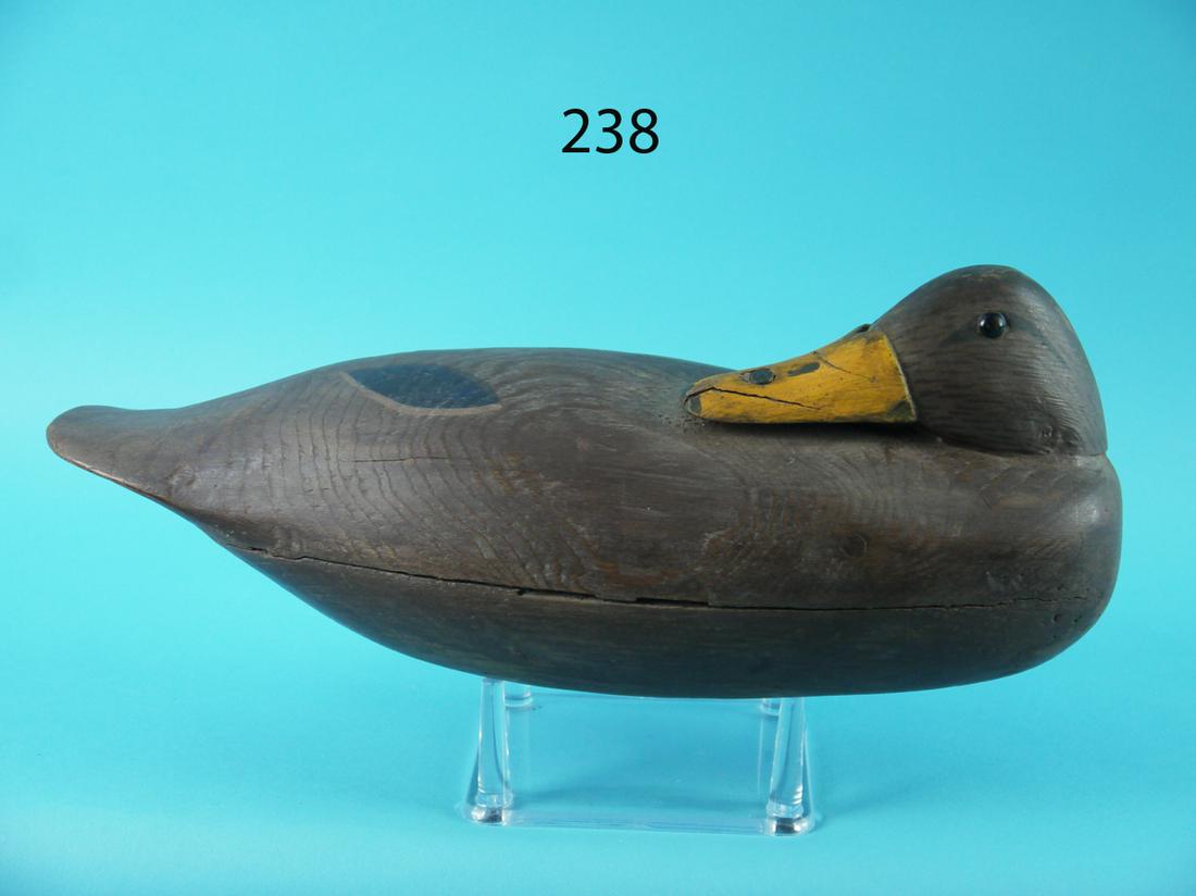 PREENING MALLARD HEN, S. SOPER (1 of 4)