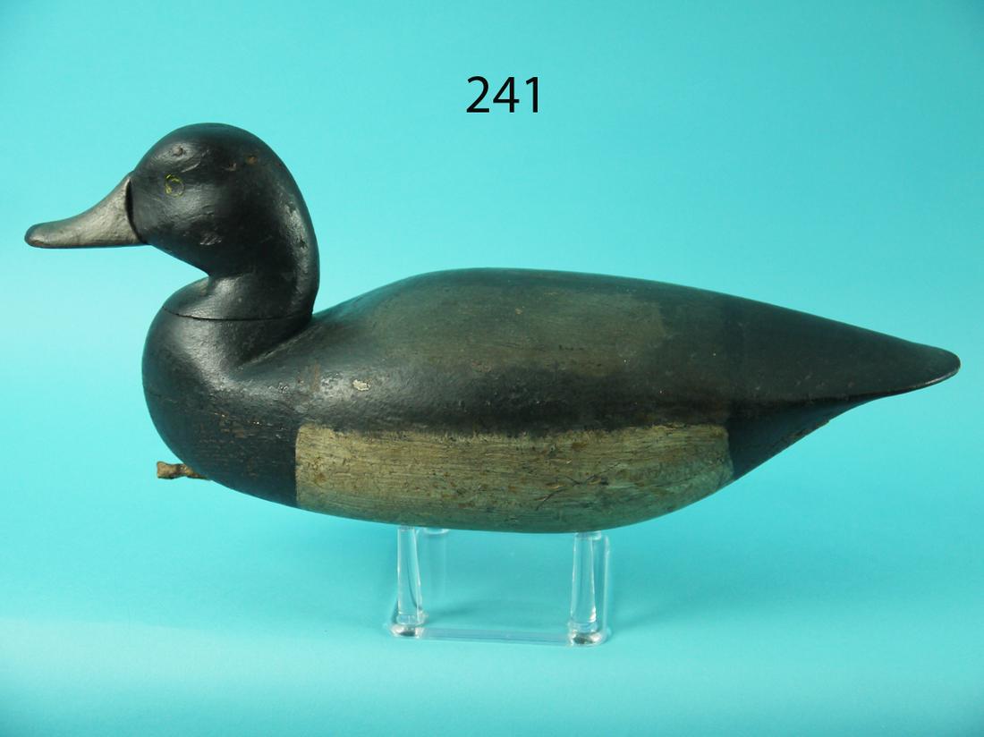 BROADBILL DRAKE, H. GRANT (1 of 4)