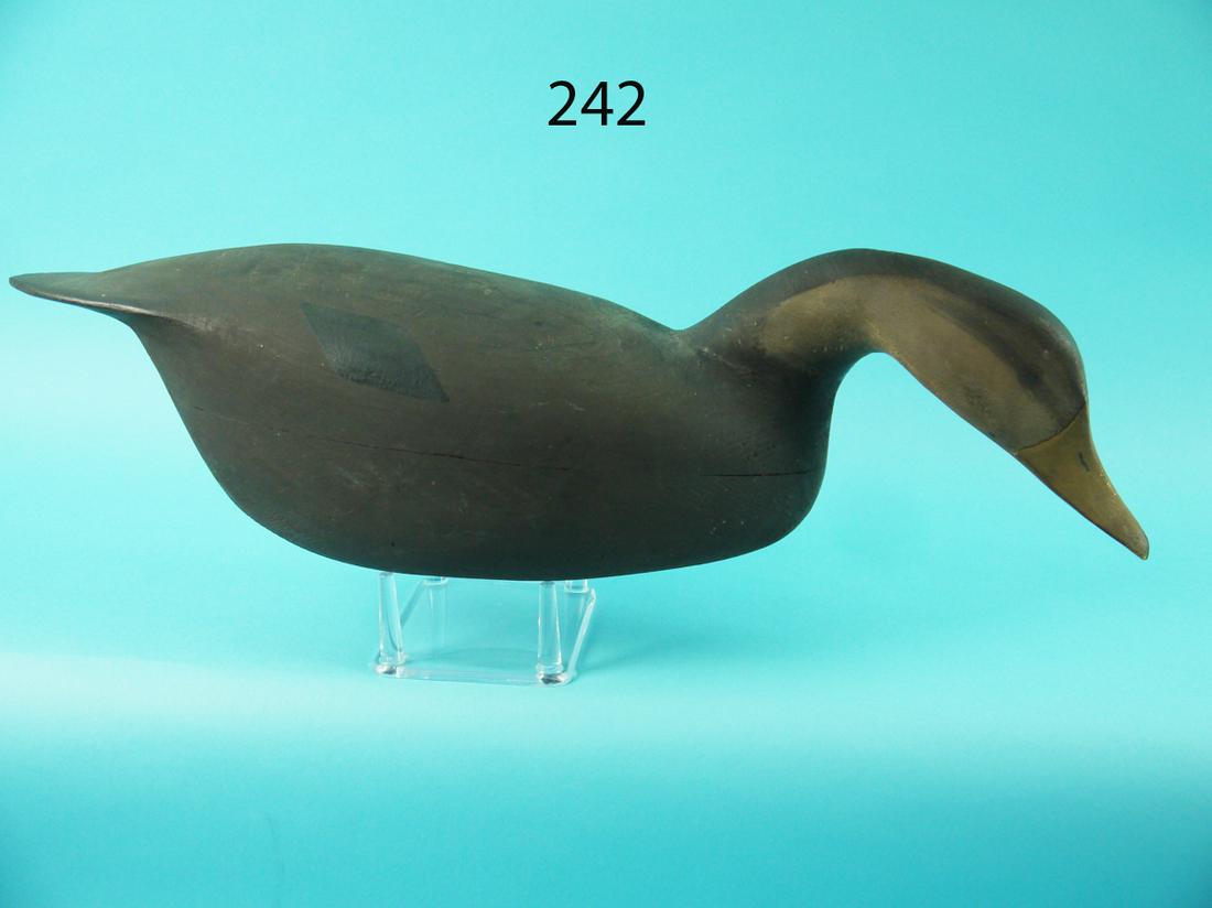 BLACK DUCK, H. CONKLIN (1 of 4)