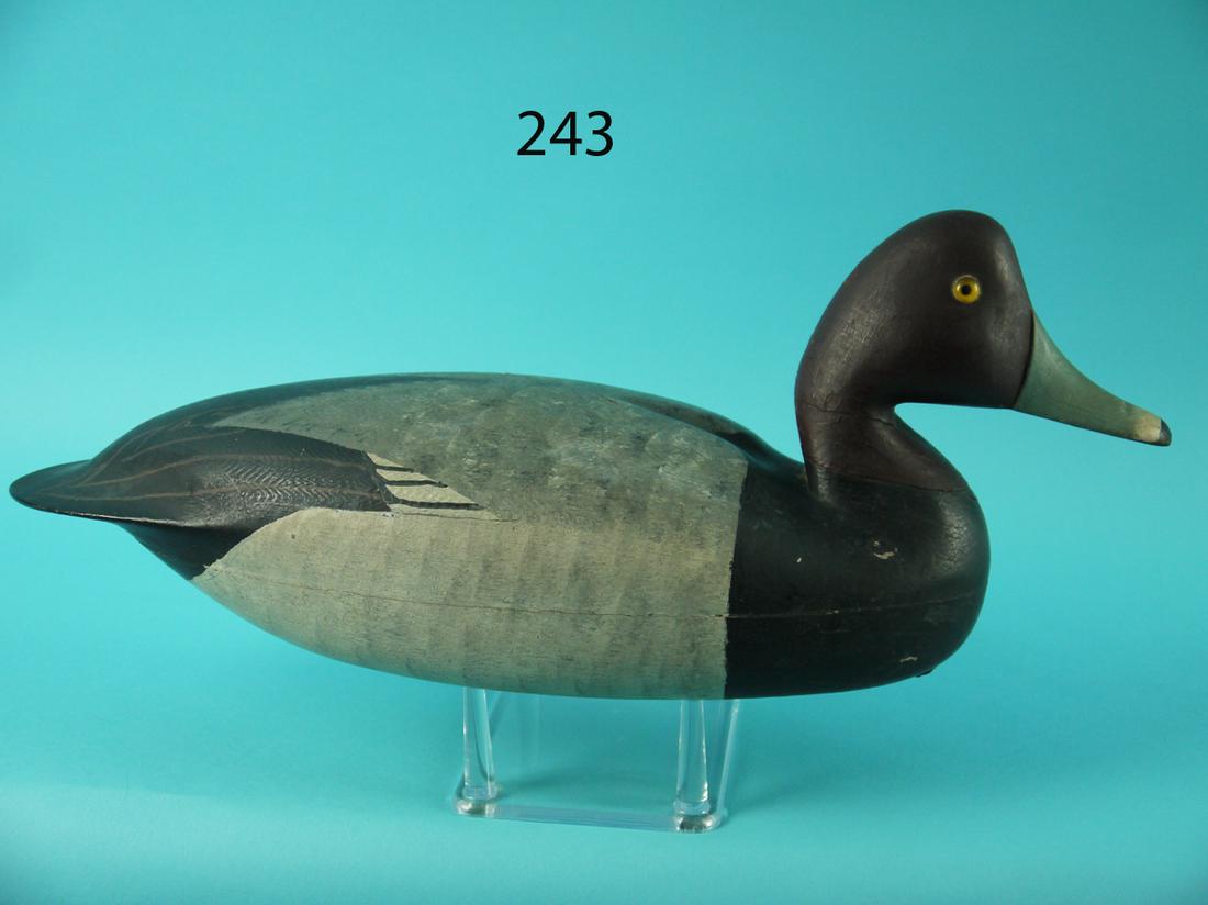 RED HEAD DRAKE, L. PARKER (1 of 4)