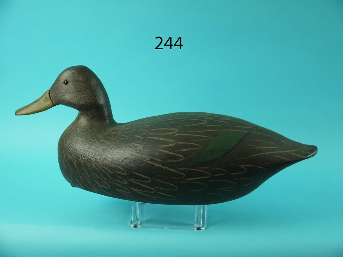 BLACK DUCK, TUCKERTON SCHOOL (1 of 4)