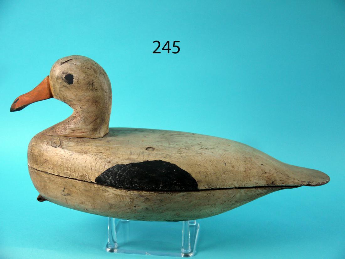 GULL, J. PAUL (1 of 4)