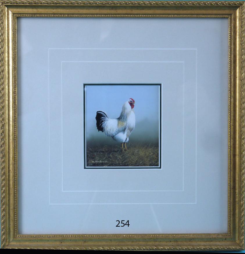 PRINT, CHICKEN, A. BARKER (1 of 1)