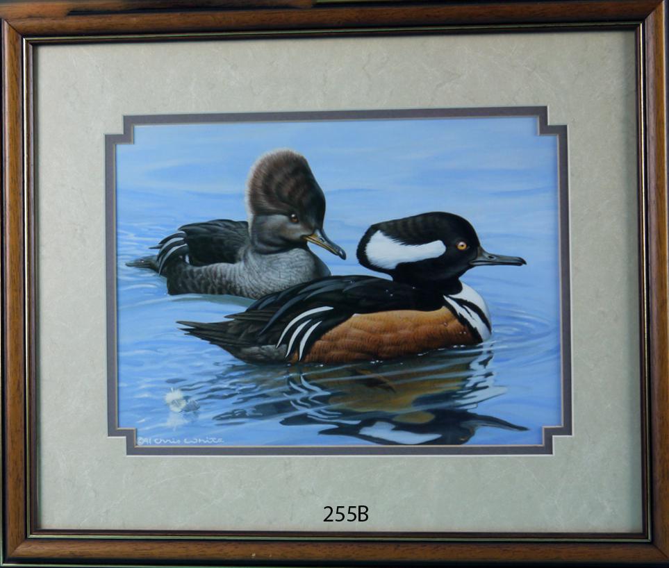 HOODED MERGANSER PAIR, C. WHITE (1 of 1)