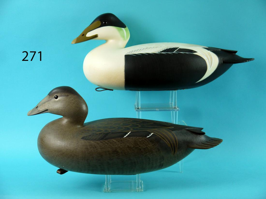 EIDER PAIR, F.C. BROWN, JR. (1 of 4)