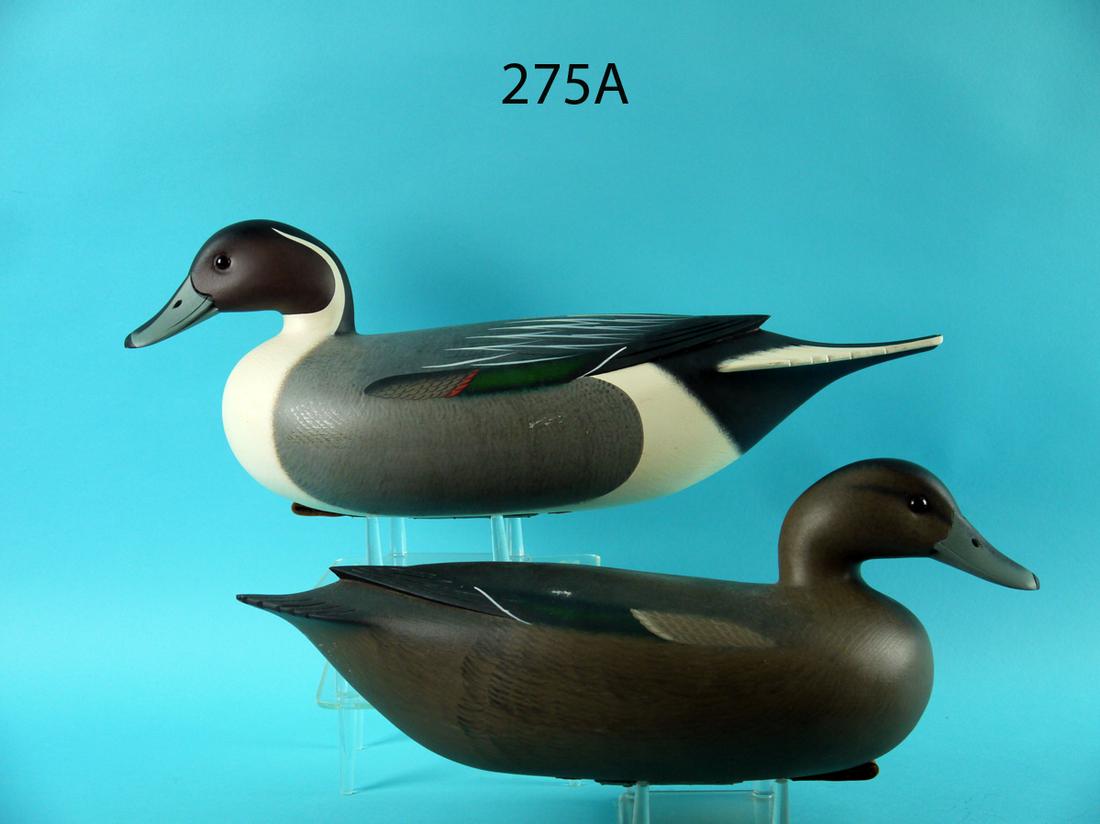 PINTAIL PAIR, F.C. BROWN, JR.: PAIR OF PINTAILS by Fredrick C. Brown, Jr., Pt. Pleasant, NJ. Gunning pair in very good original paint and unused condition. Hollow construction. Some very minor sap bleed to drake under side of tail 