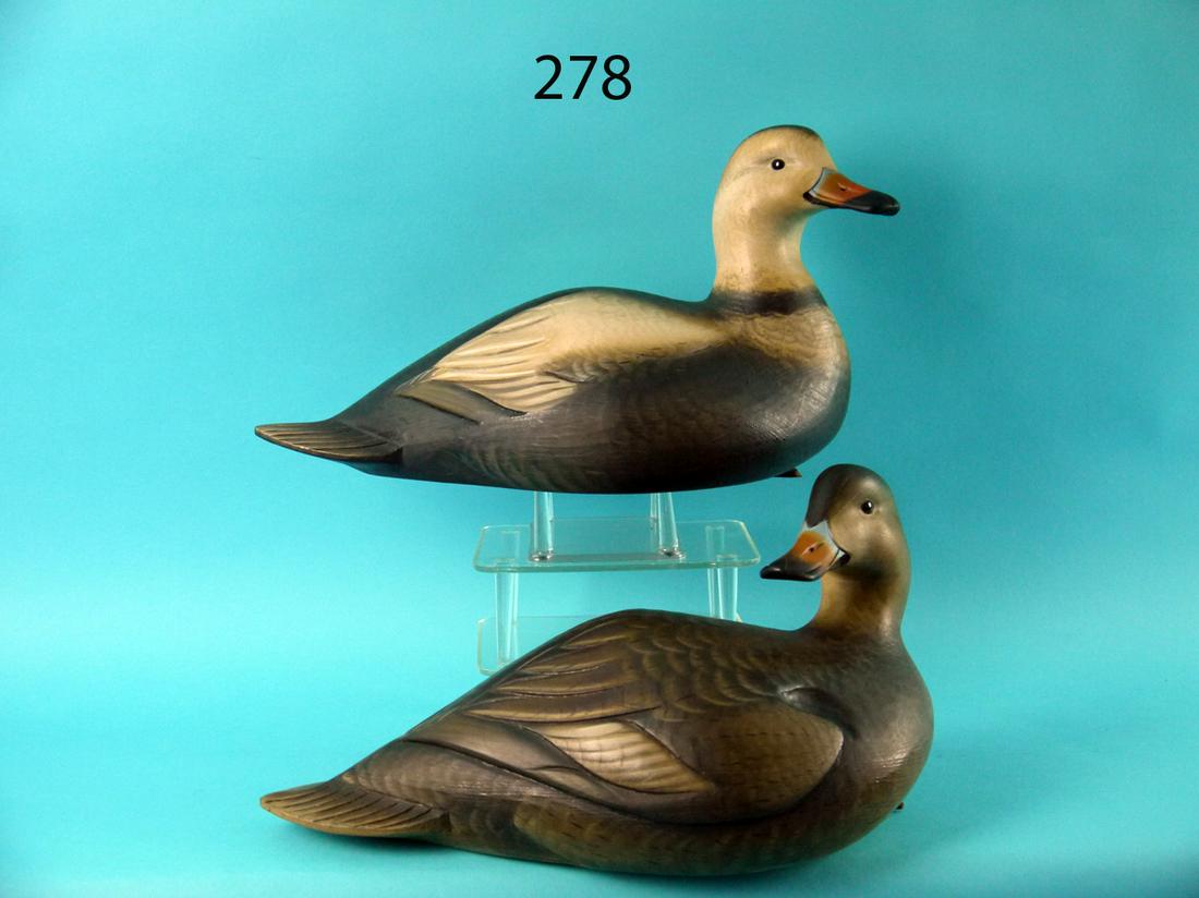 LABRADOR DUCK PAIR, S. SUTTON (1 of 4)