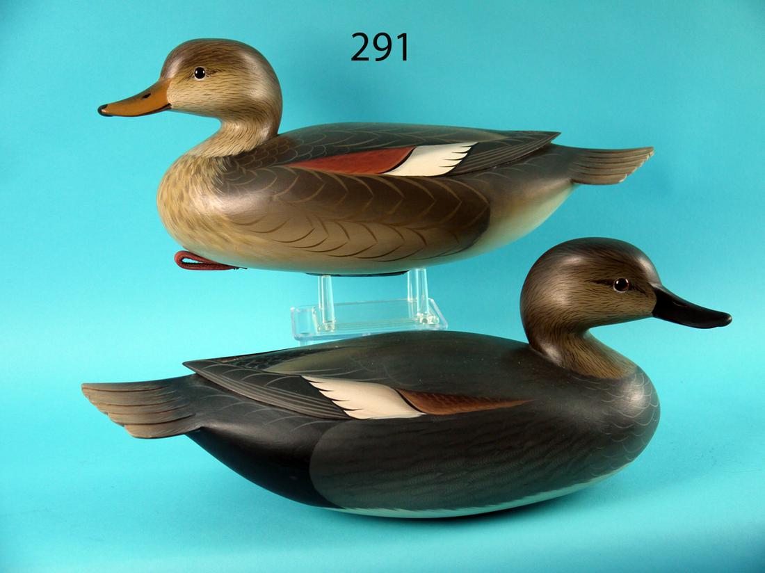 GADWALL PAIR, G. STRUNK (1 of 4)